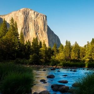 Meet your Posher, Lee